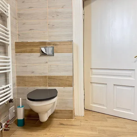 Apartament Cozy Big In Center Of Brașov